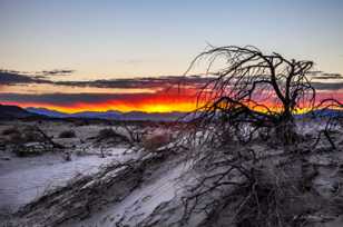 Sunrise over the desert-9737